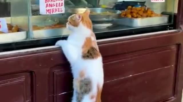 I'll take a pound of that please