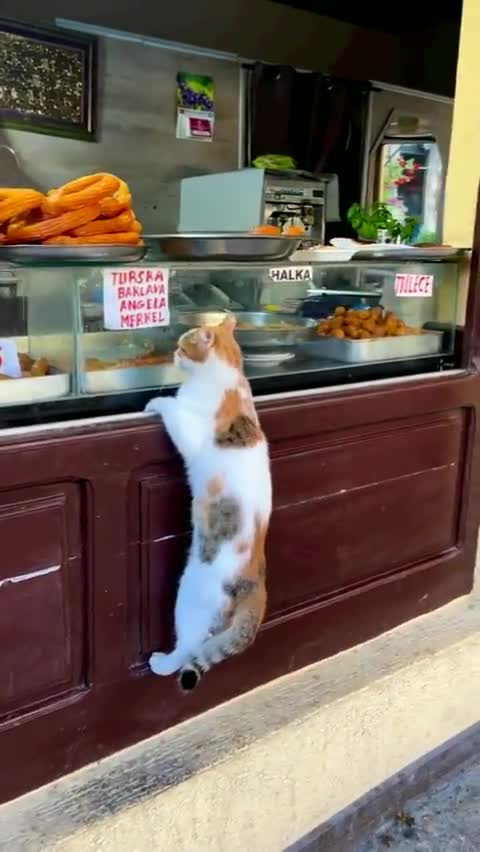 I'll take a pound of that please