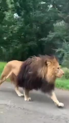 Comedy video scenes 😂😂😛😛