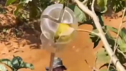 Very Creative