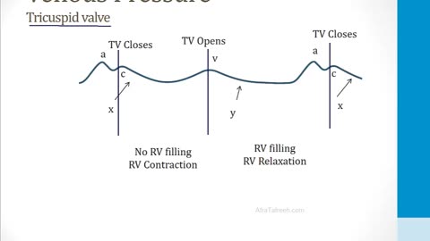 Cardiology - 1. Anatomy and Physiology - 8.Venous Pressure Tracings