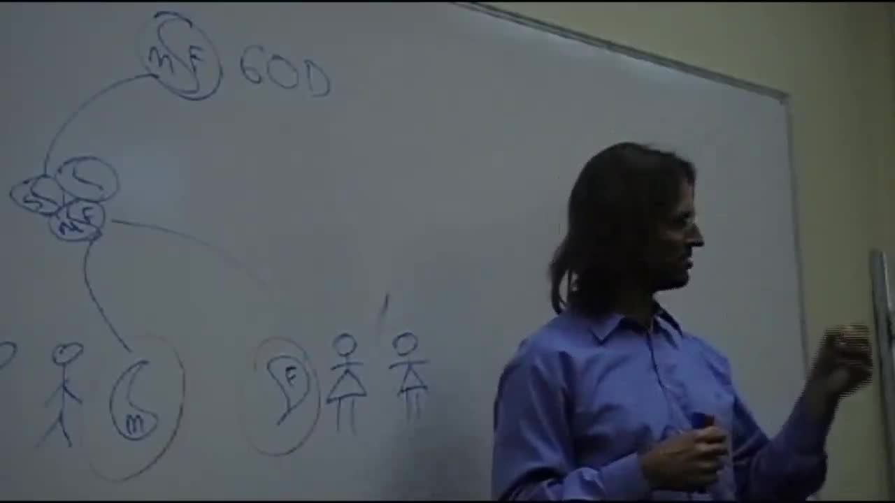 Are People with Intellectual Disabilities Able to Make Choices? Free Will vs Choices