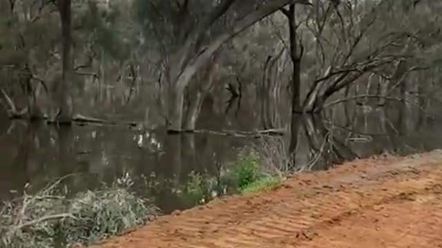 These people have 48 hours to build a 2km wall, or their homes and businesses will be flooded.