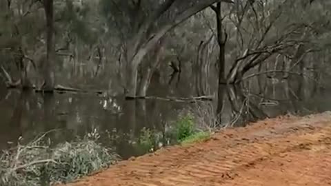 These people have 48 hours to build a 2km wall, or their homes and businesses will be flooded.