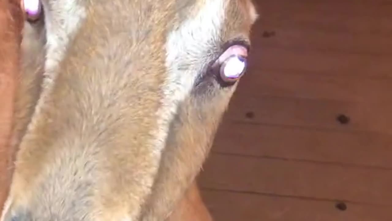 OMG🤭🫢