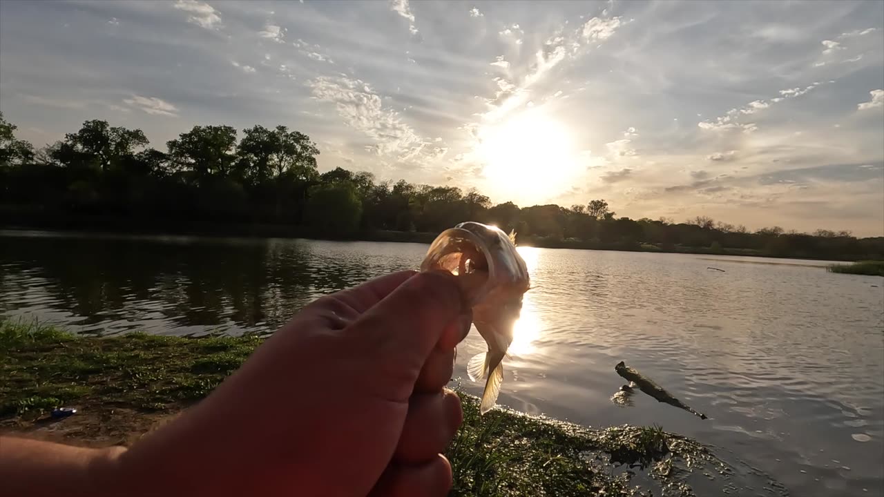 fishing the brazos river for largemouth bass in Waco Texas. That's Why We Fish!