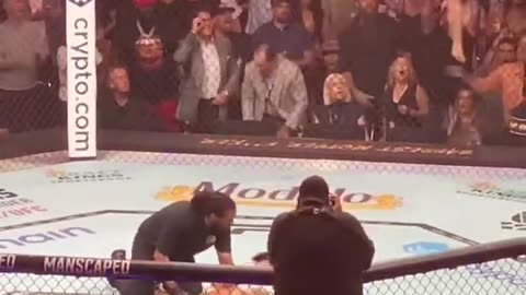 Justin vs Dustin ufc fight