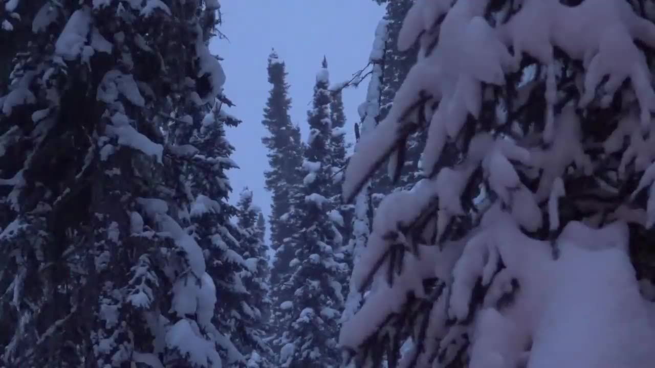 Winter Camping Experience - Sleeping Outside in -25° Weather