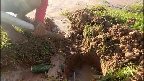 Creative Man Uses ELECTRIC EEL for fish trap! In Cambodia!!!