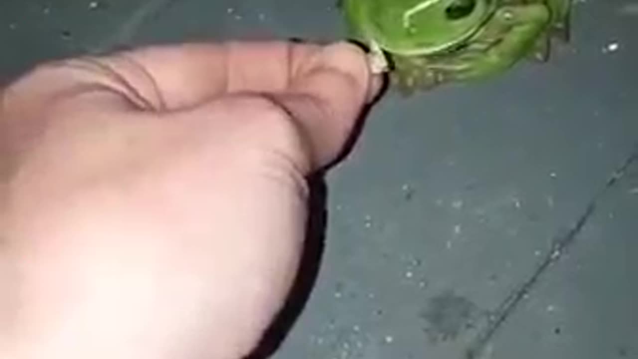 Frog Try To Eat Tasty Food 😋😋