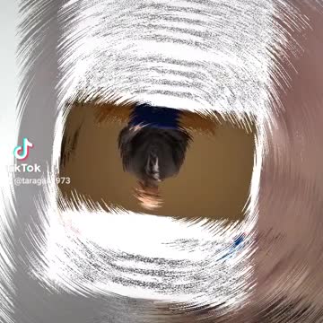 God always wins always WWJD