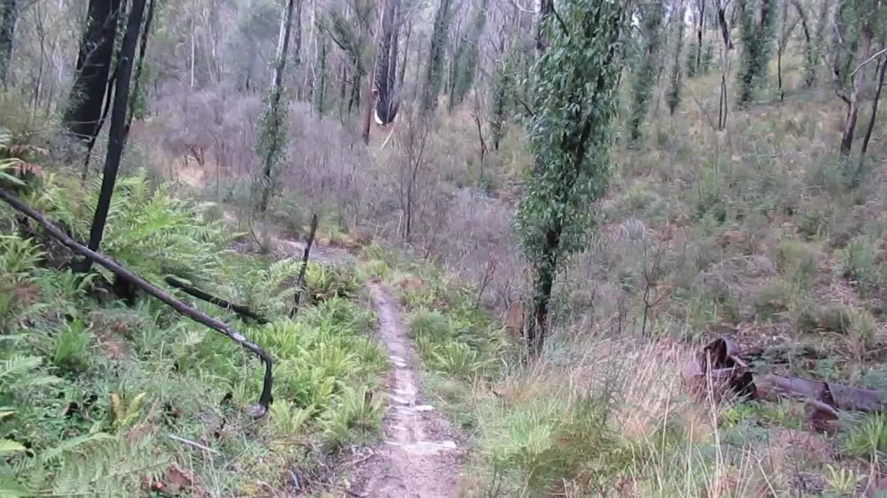 Following a bush trail 2 - Outside Adventures