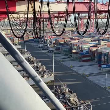 Why are the dock workers not working?