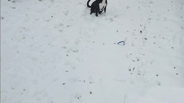 It's not that cold