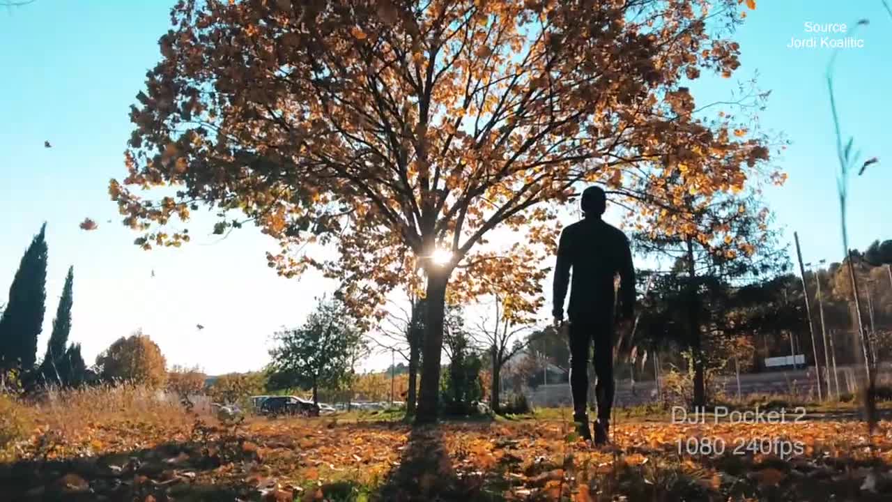 5 AUTUMN CREATIVE VIDEO TRICKS