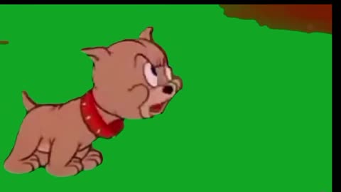 Tom and Jerry