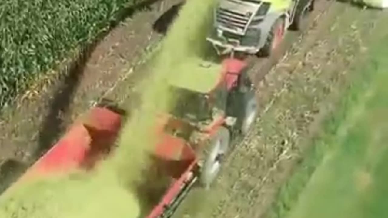 High Capacity Dump Box ##❗❗