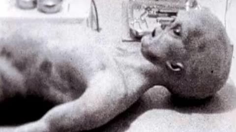 Nice Try But Definitely FAKE