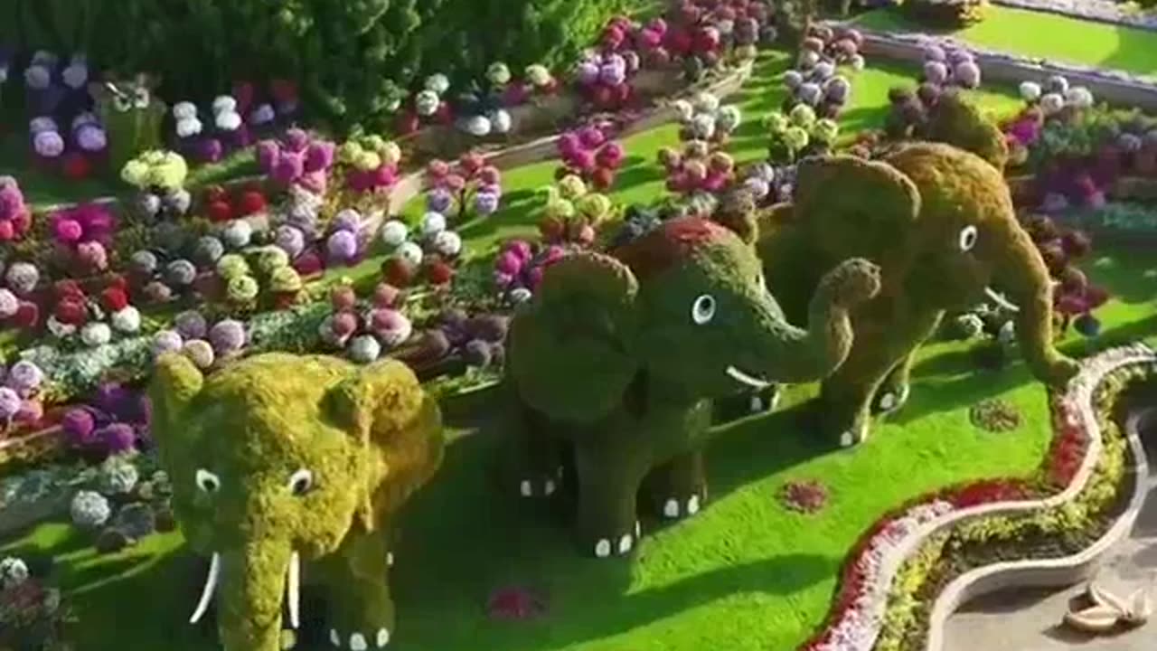 Child's like this video