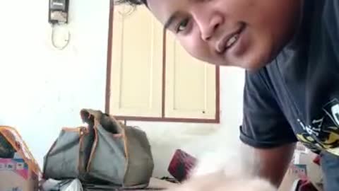 Kucing kesayangan