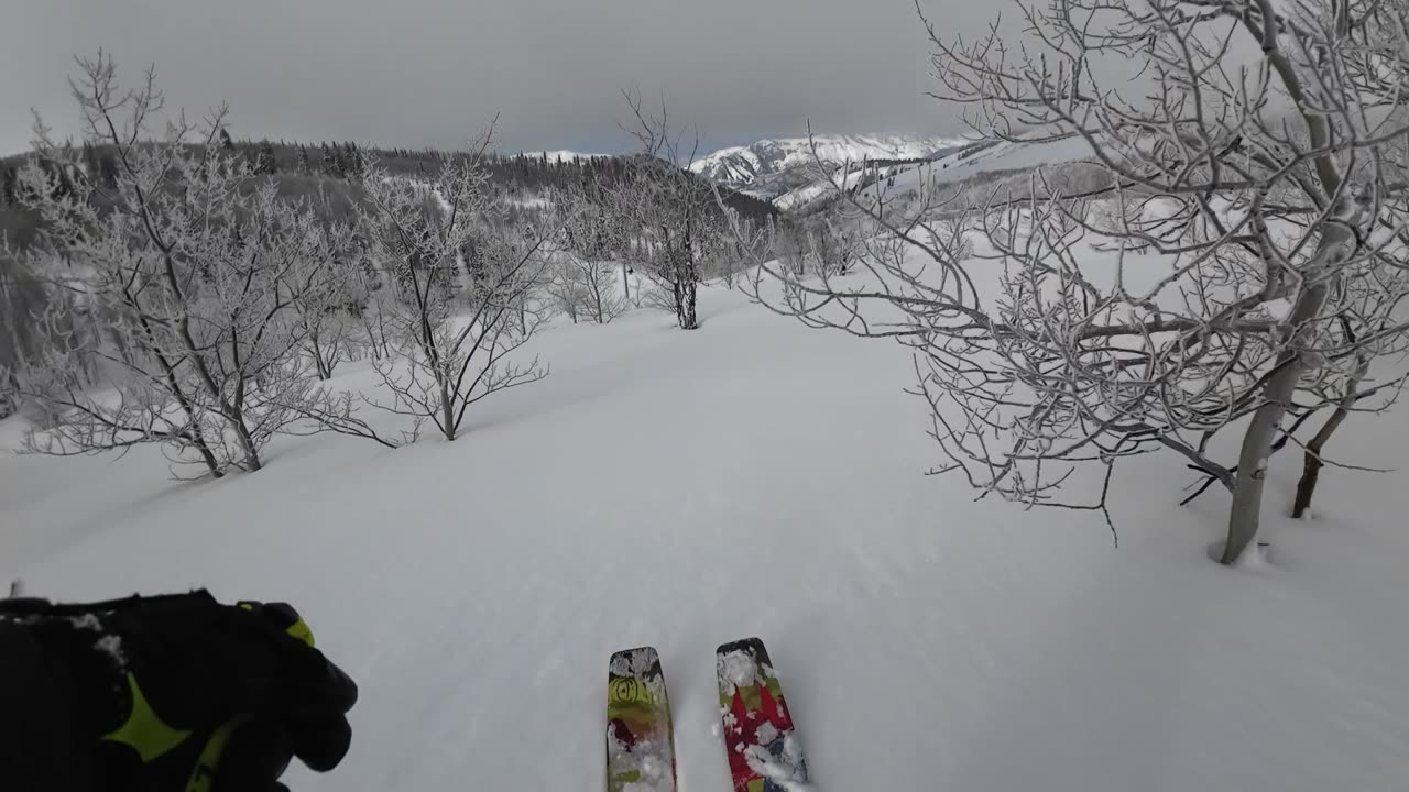 3/9 #1 run No Rob today so you don't get to see great powder skiing just me