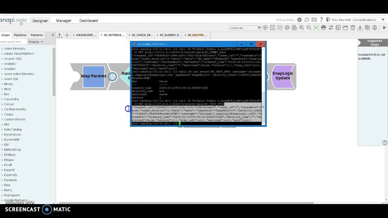 Snaplogic Hashicorp Vault Integration