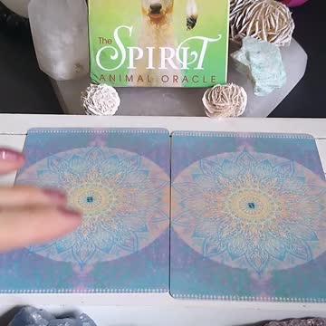 What Spirit Animals Are With You Today? #shorts