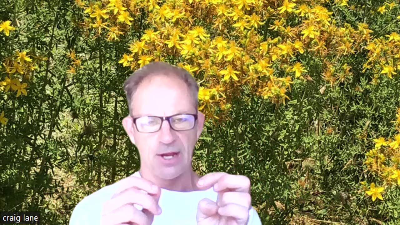 Health Alkemy Practical Health Advice July 21 2023 Megadose The Natural
