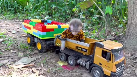 BinBin Monkey Rabbit goes supper truck to pick fruit