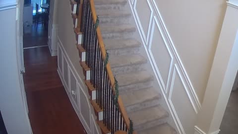 Roommate Flops Over Staircase Railing