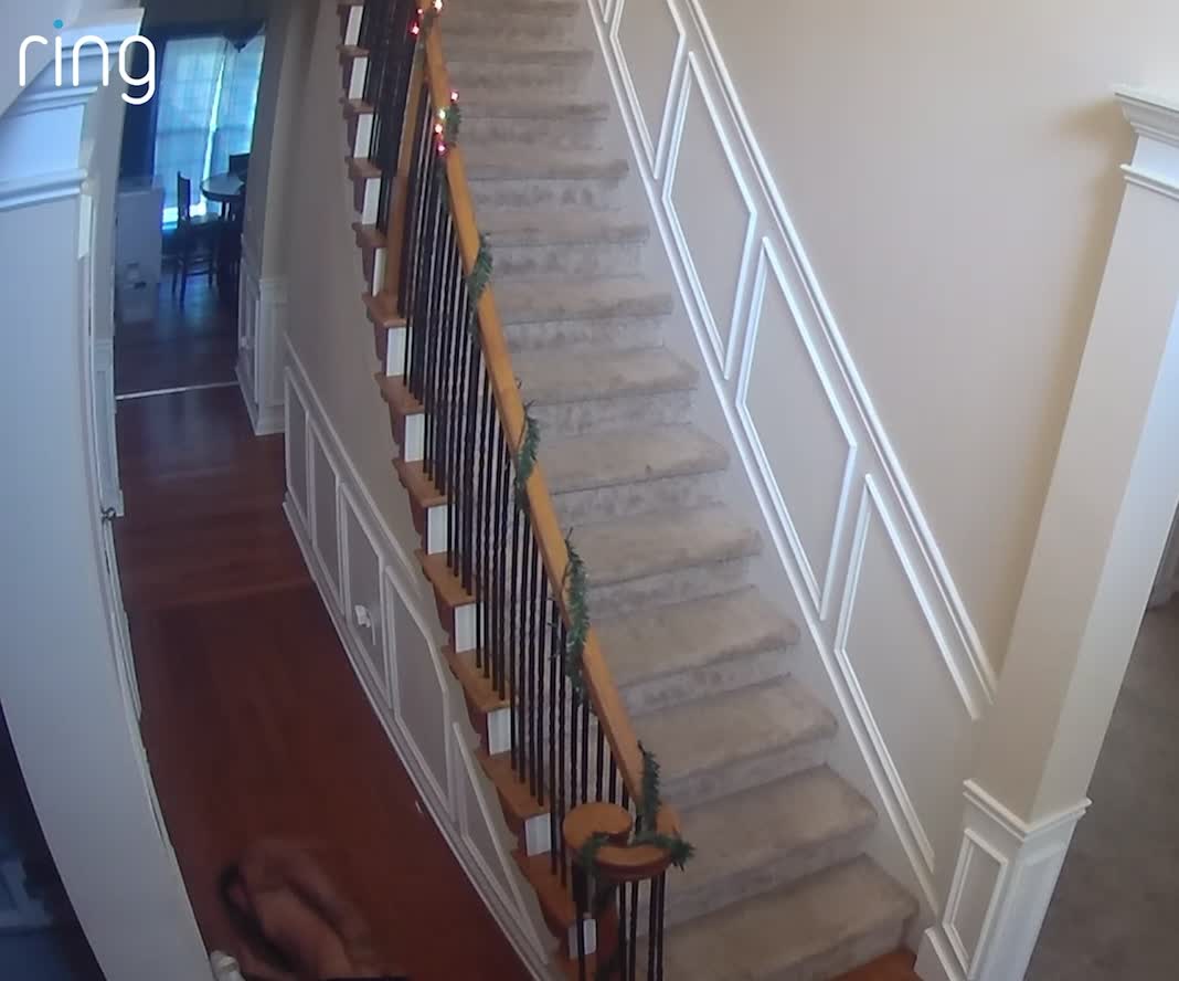 Roommate Flops Over Staircase Railing