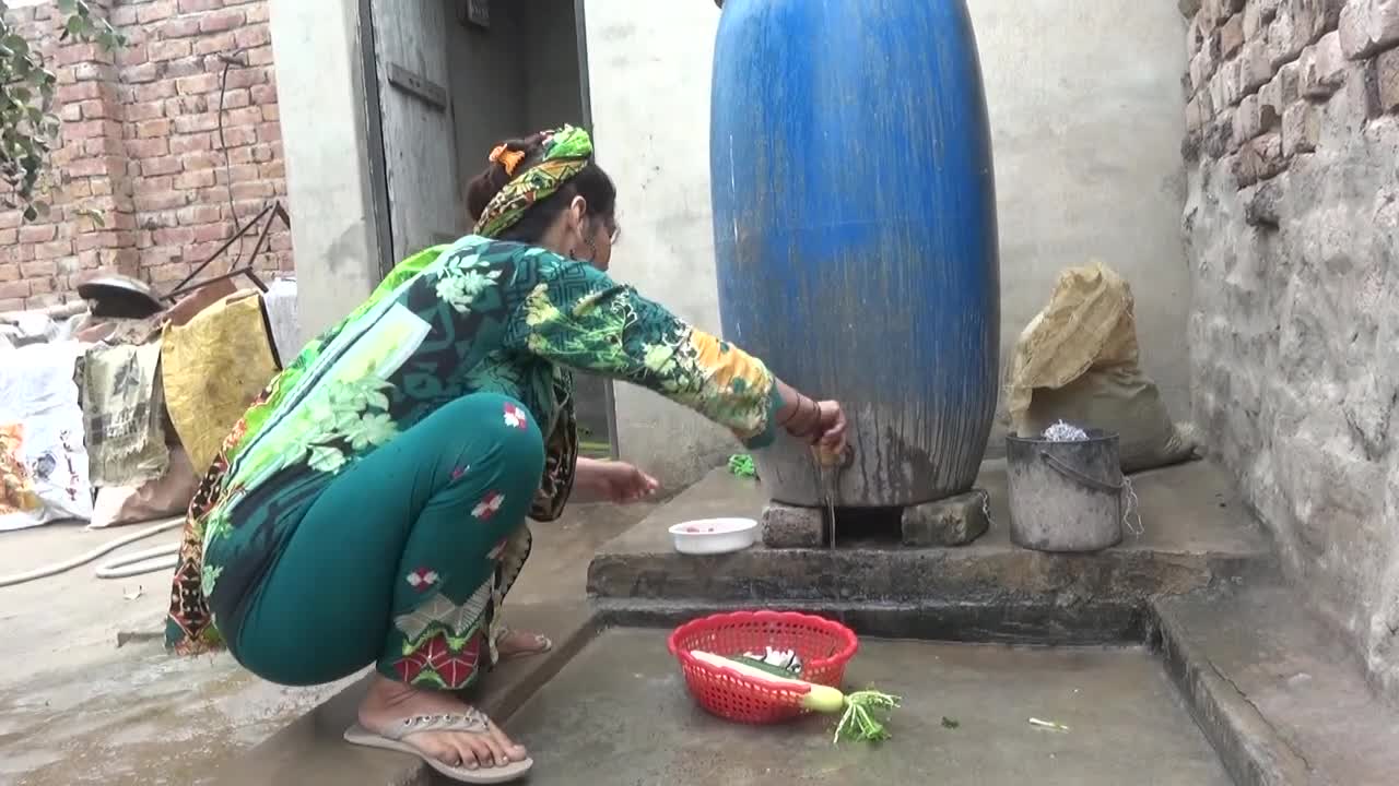 Pakistani Housewife Daily Routine Work In Village