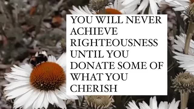 Islamic videos
