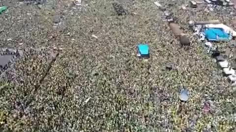 ▶ EXTRAIT-RQ + LIENS parus (20 nov 22) : Manifestation au Brésil (Nov 2022)