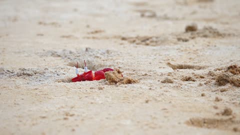 walking in the sand