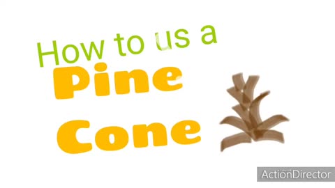 How to use a pine cone