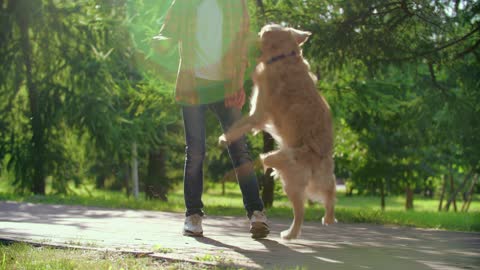 Boy Playing With His Beautiful Dog