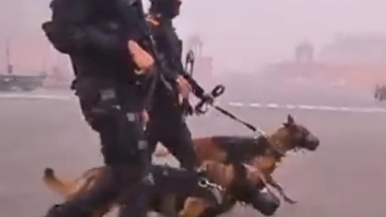 Dog's training by Indian army !