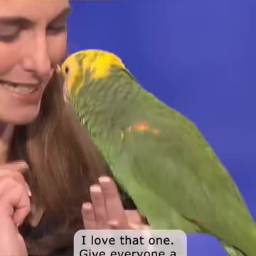 Echo the bird is one smart cookie!