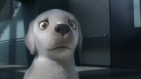 Dog Training