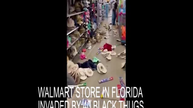 WALMART STORE FLORIDA INVADED BY 40 BLACK THUGS