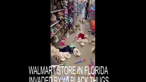 WALMART STORE FLORIDA INVADED BY 40 BLACK THUGS