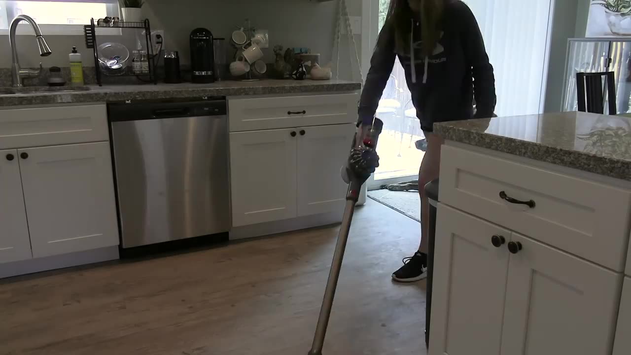 Amputee dog owner adappting to handle my dog alone