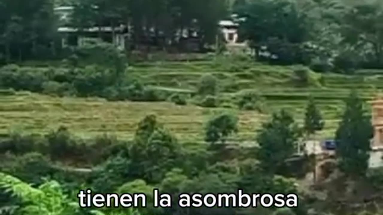 El país del mundo que no contamina