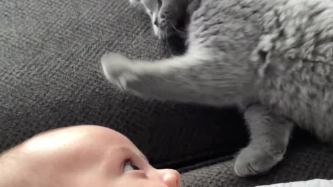 Cat loves baby