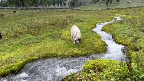 Natural beauty of pakistan