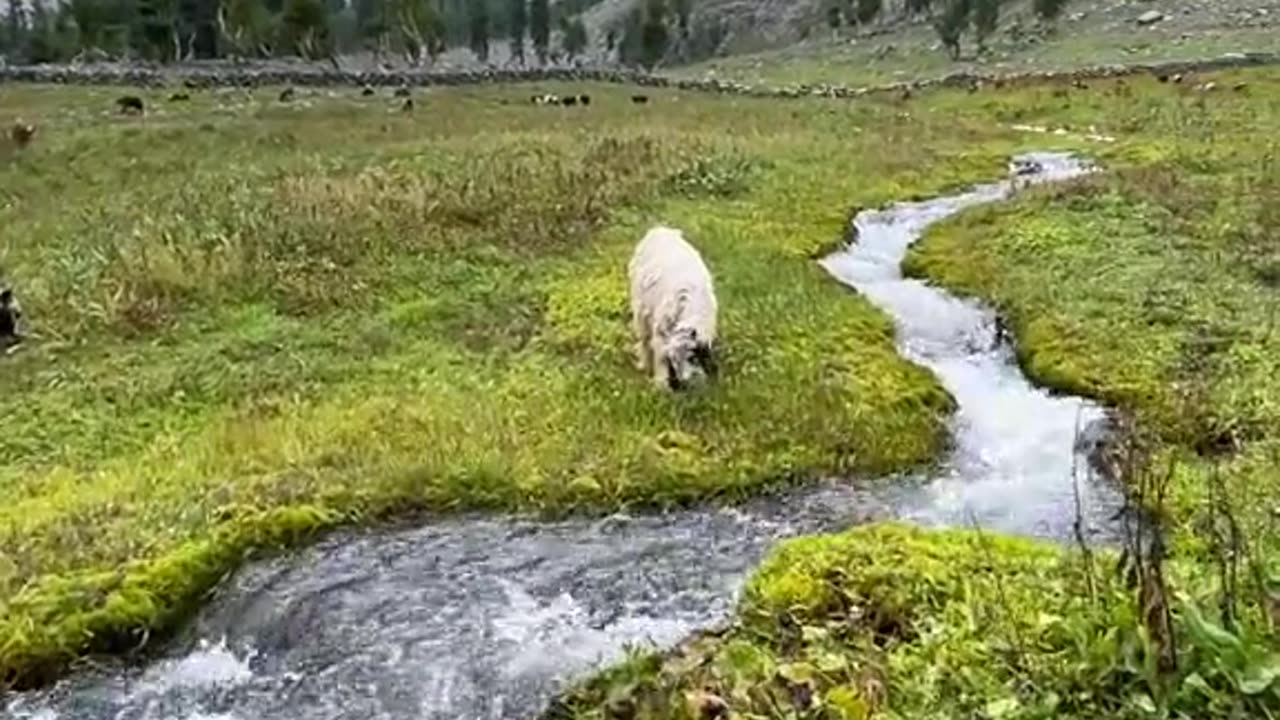 Natural beauty of pakistan