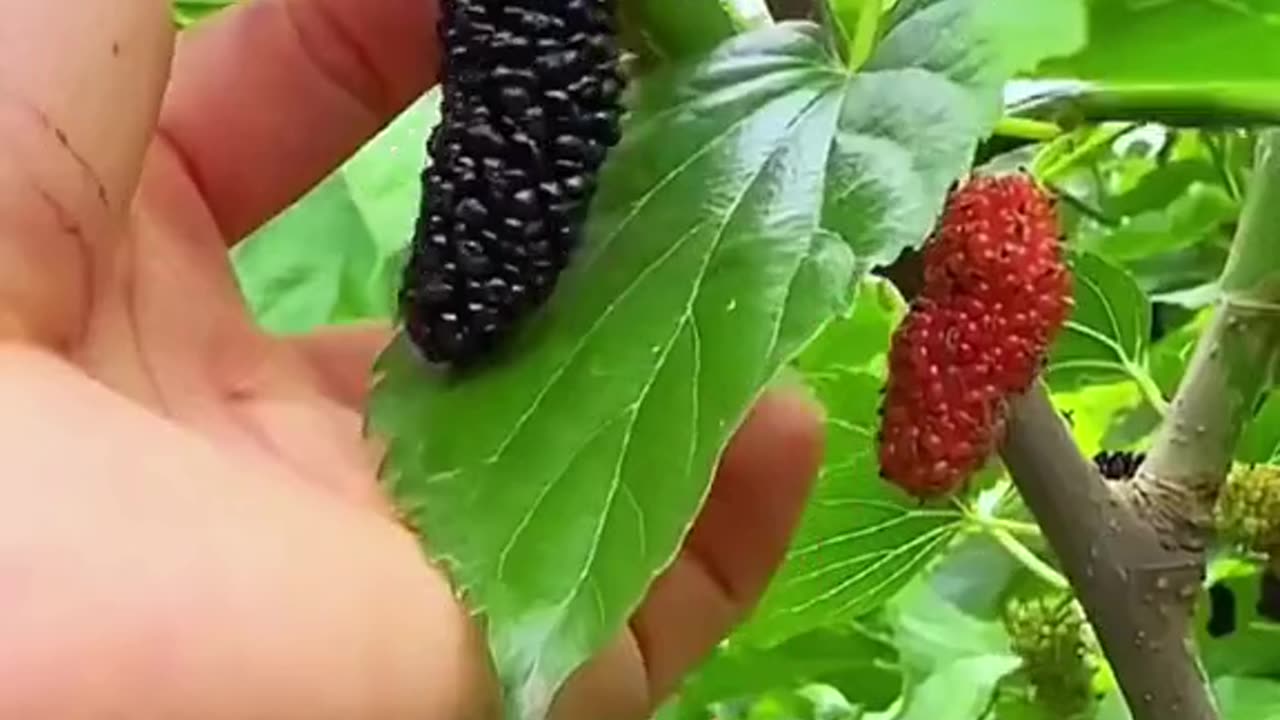 How much do you have some I think I have to get done