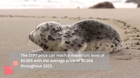 STP Price Prediction 2023, 2025, 2030 Future of STPT