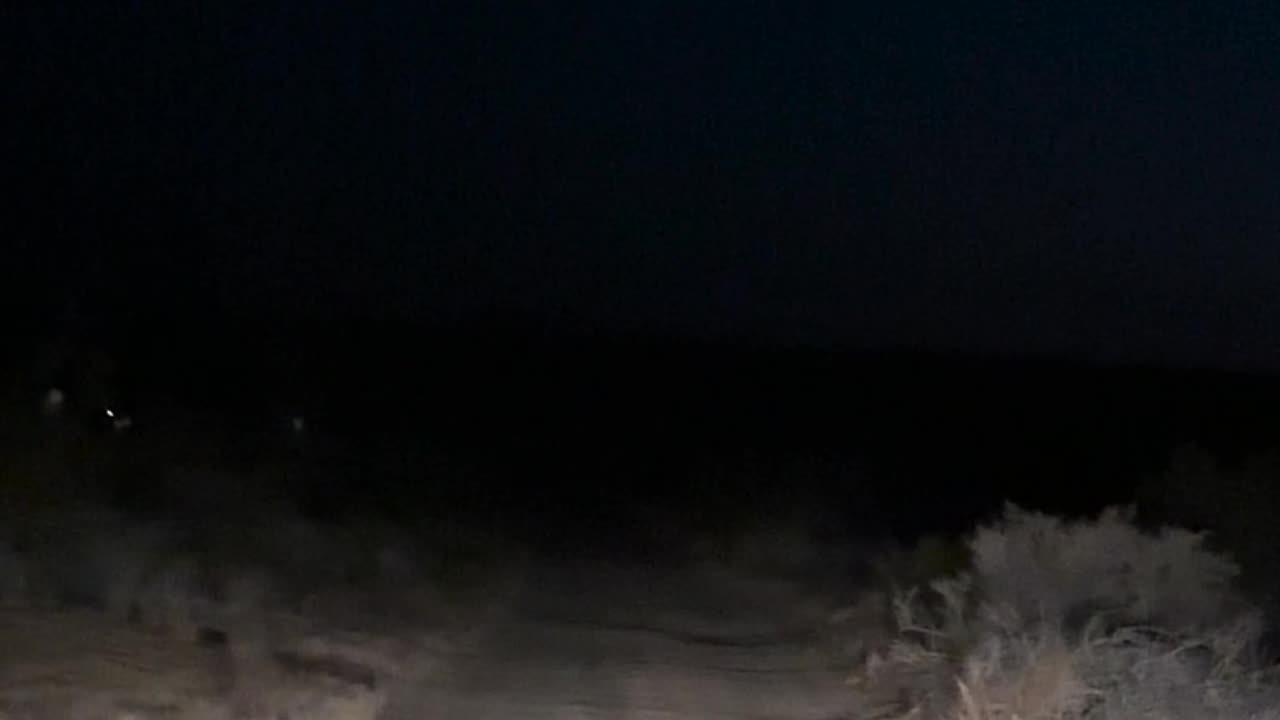 Chocolate Mushroom Bar in the Desert short